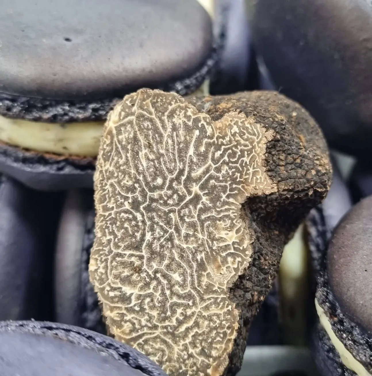 Black Cat Truffles