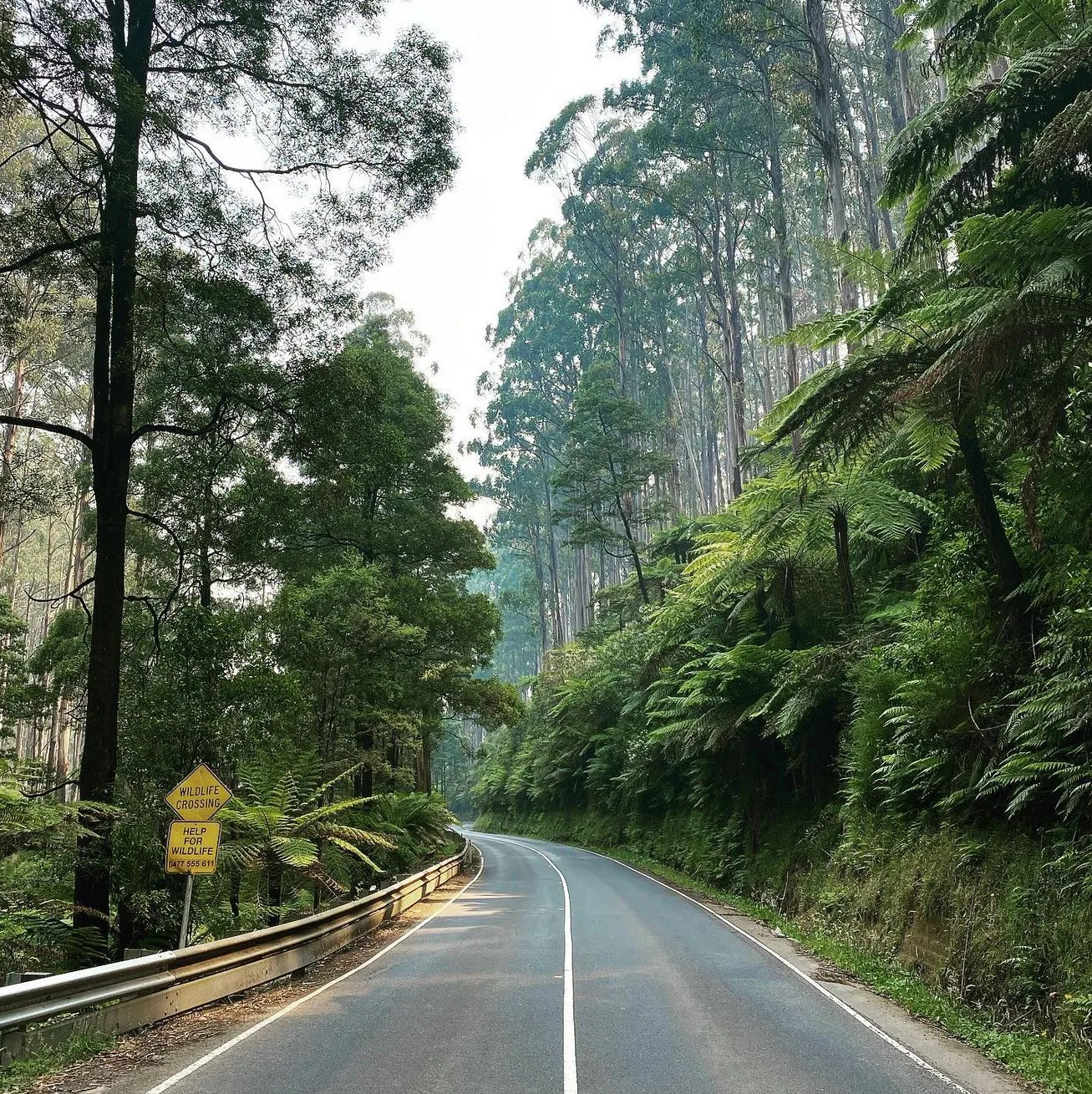 Black Spur Drive