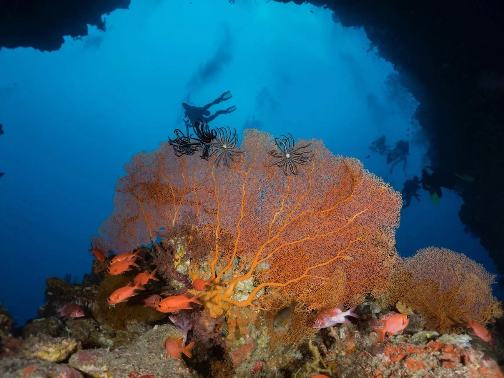 youtchouk | Can You Go Scuba Diving Along the Great Ocean Road?