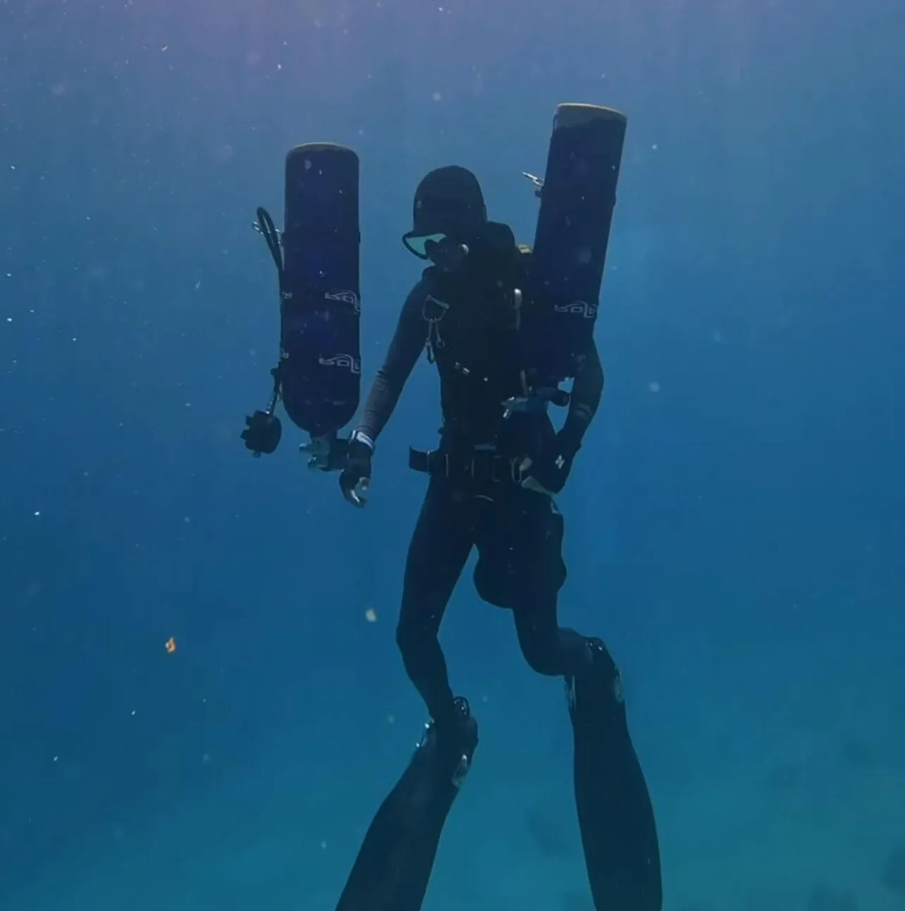Lady Bay Wreck Dives (Warrnambool)