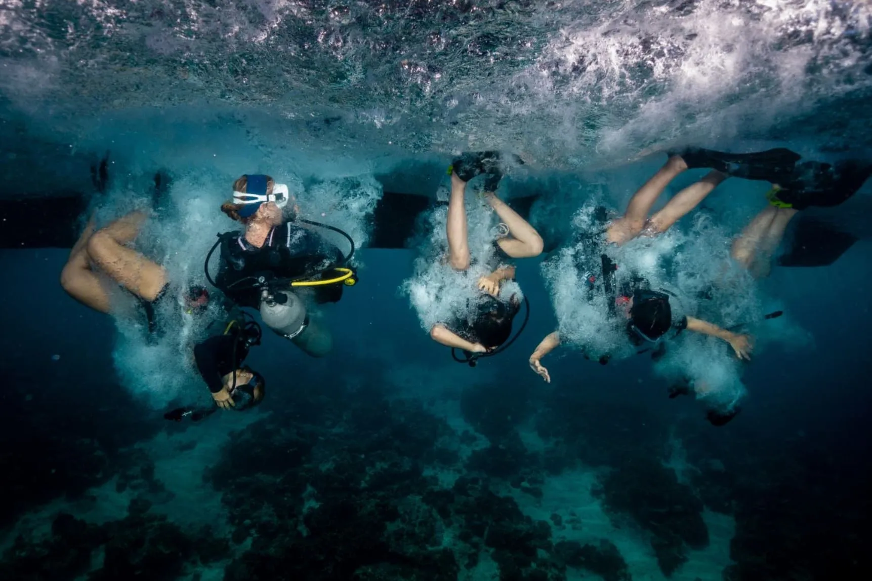 When to Dive Timing Your Ocean Adventure